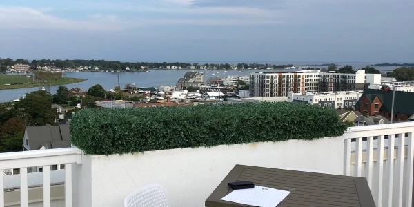 Connecticut Renaissance